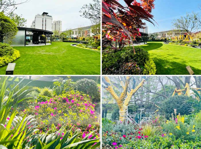 1632461529226352.jpg 15.jpg