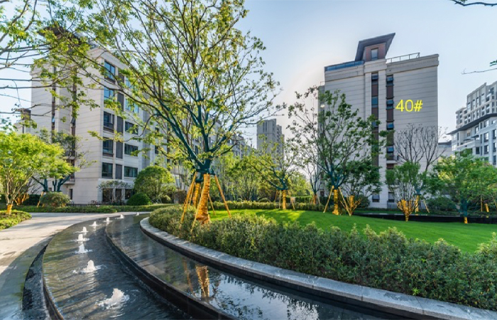 1632464678922849.jpg 1.jpg