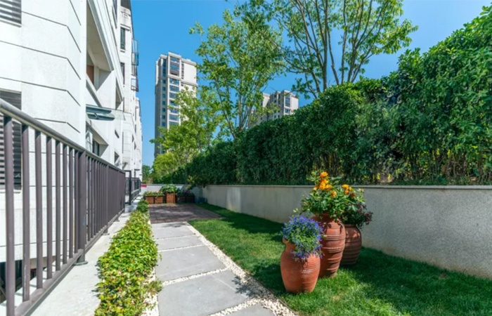 1632465378583689.jpg 15.jpg