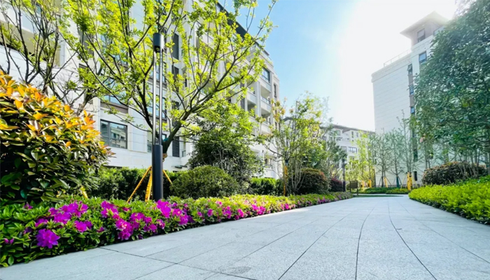 1632465562338723.jpg 21.jpg