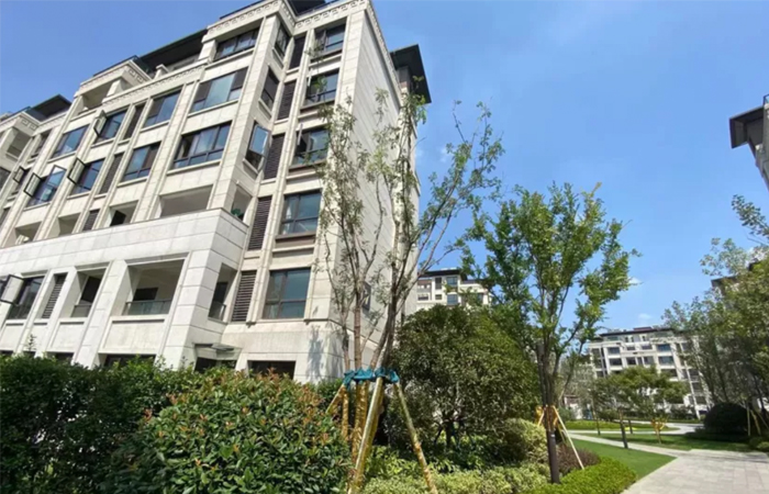 1632465646111482.jpg 24.jpg