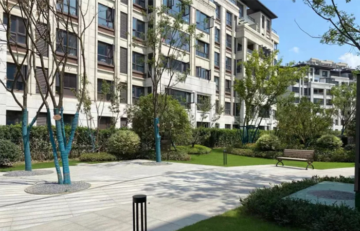 1632465695222183.jpg 26.jpg