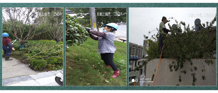 1632552168972831.jpg 12.jpg