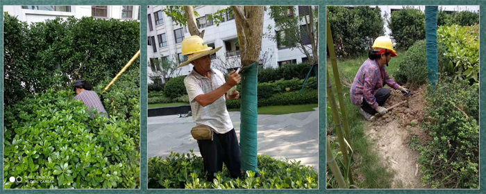 1632552209698930.jpg 17.jpg